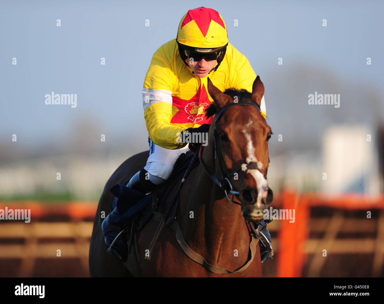 Horse Racing - Arkells Raceday - Newbury Racecourse Stockfoto