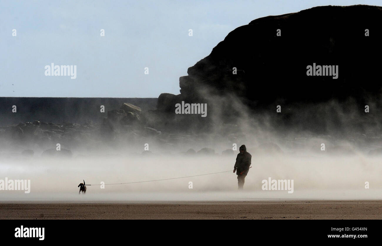 Der Norden Englands wird heute von starken Winden getroffen, als ein Hundewanderer durch einen Sandsturm am Tynemouth Beach spaziert. Stockfoto