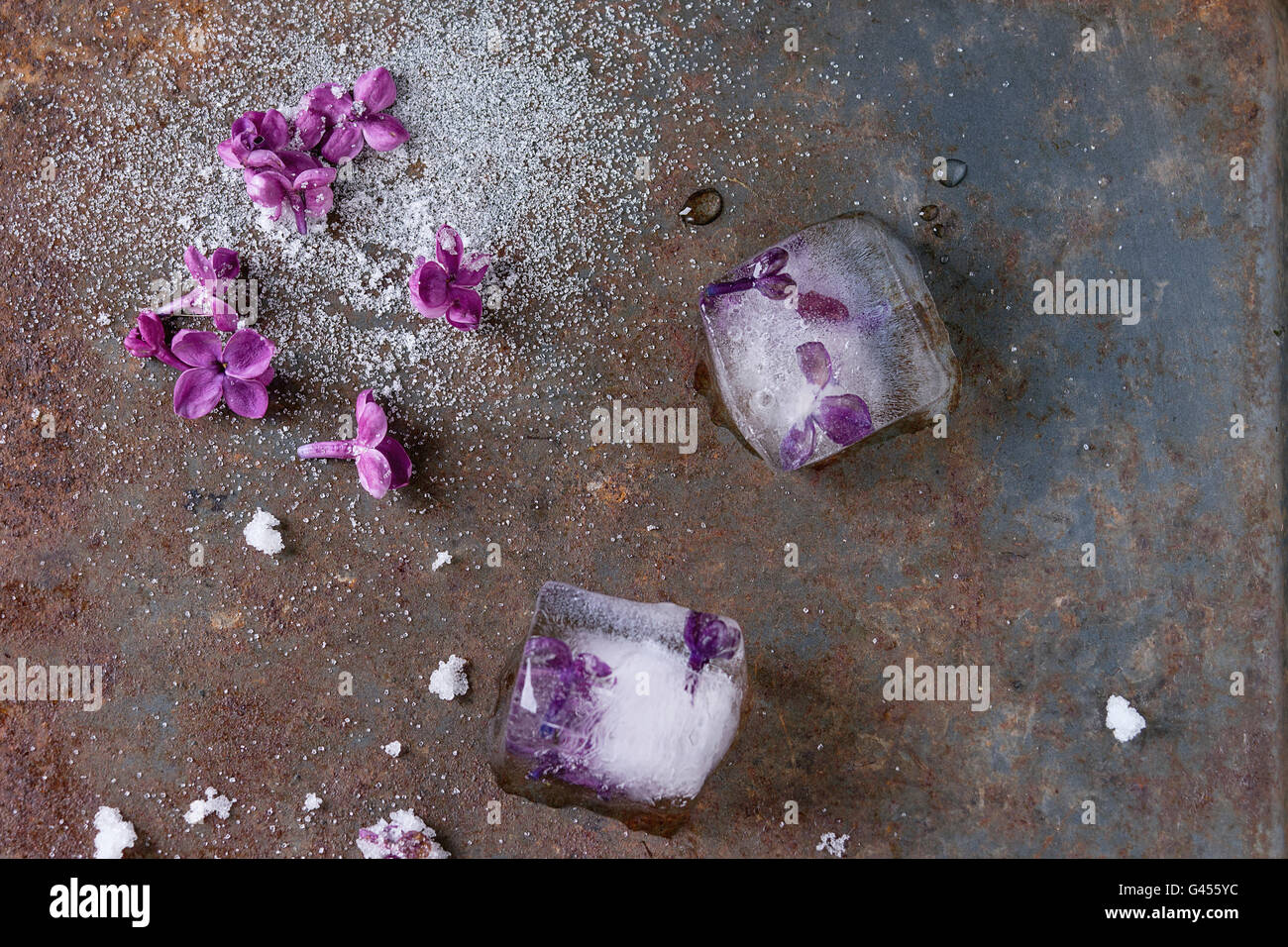 Eis Würfel mit lila Blüten, weißem Zucker und gezuckerten lila Blumen über altes rostiges Eisen Hintergrund. Ansicht von oben Stockfoto