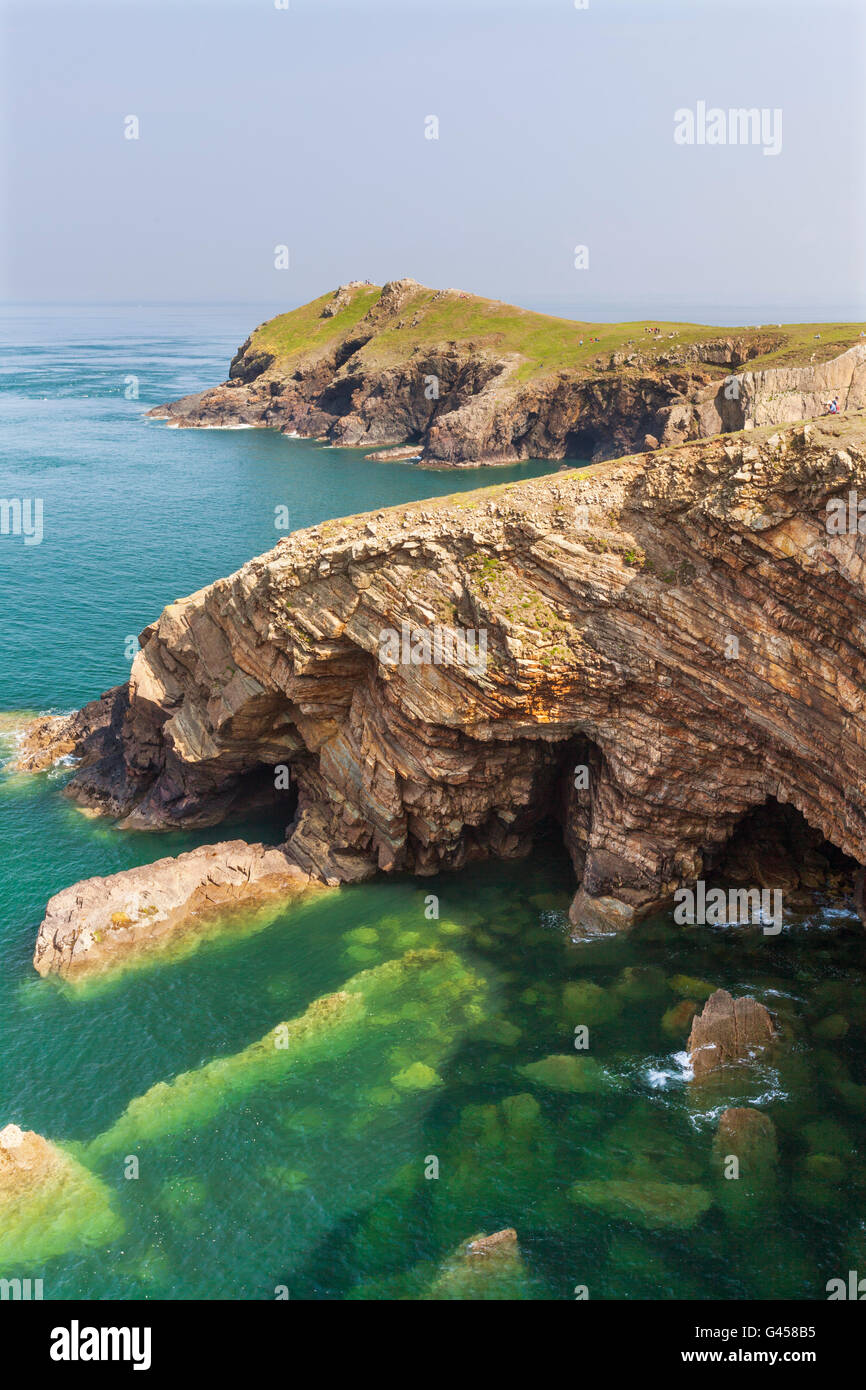 Deer Park, Marloes, Pembrokeshire National Park, Wales, Großbritannien Stockfoto