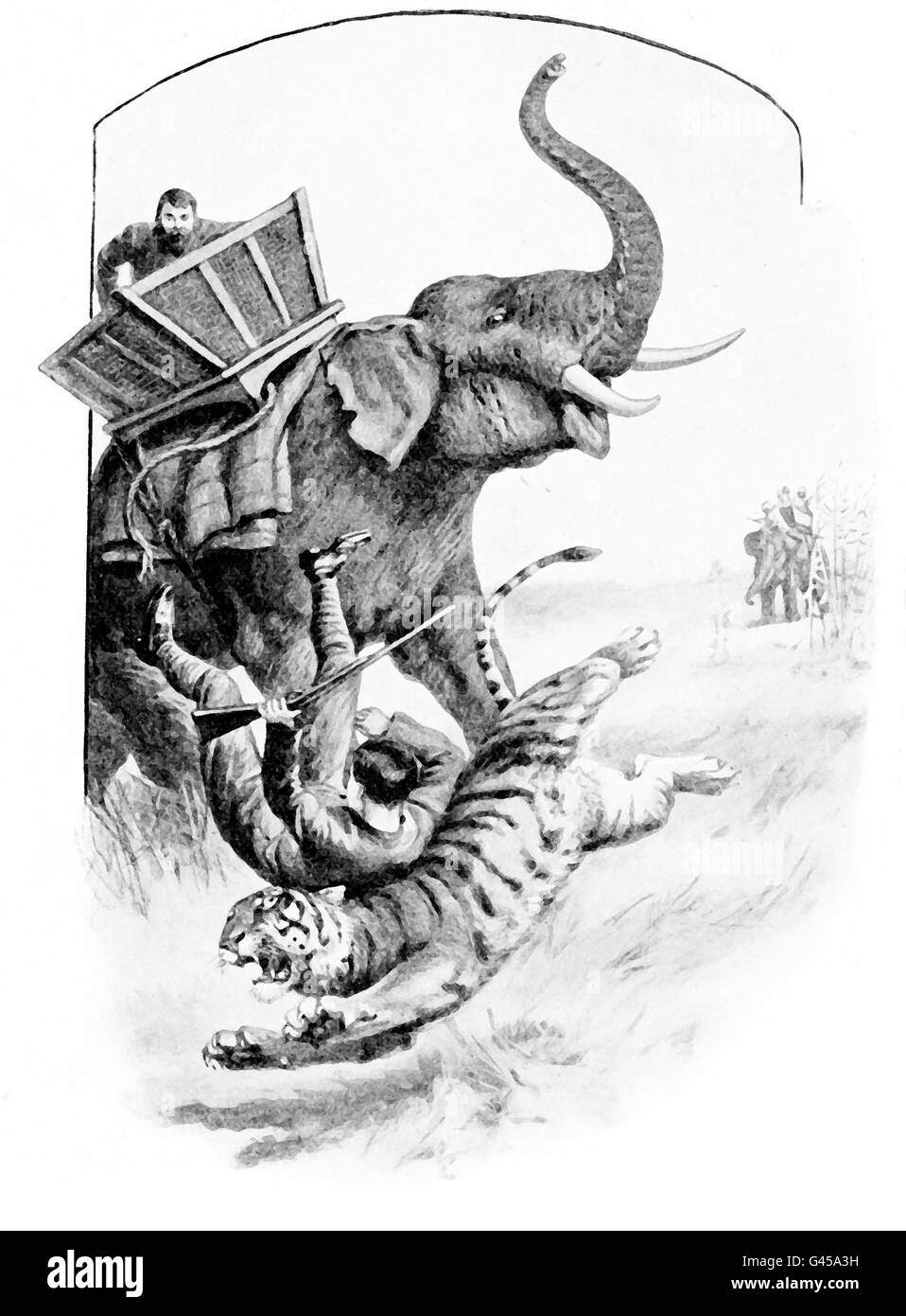 Abenteuer in der Wildnis, fällt Jäger von der Elefant auf der böse Tiger. Wird er überleben? Stockfoto