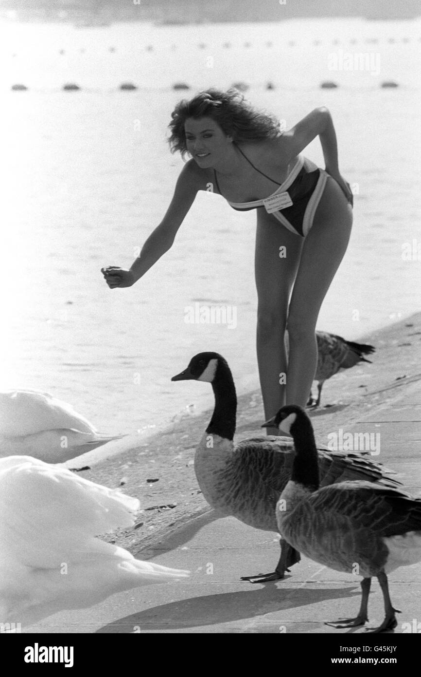 Miss Manchester Kirsty Roper, 17, probiert ihre Reize auf die Tierwelt im Serpertine im Hyde Park aus. Sie ist eine der Finalisten des Miss United Kingdom Wettbewerbs 1988. Stockfoto