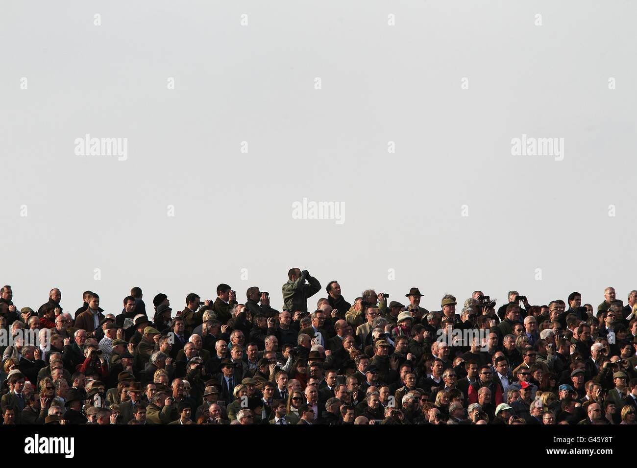 Pferderennen - 2011 Cheltenham Festival - Tag Drei. Racegoers beobachten die Action am St. Patrick's Day während des Cheltenham Festivals. Stockfoto