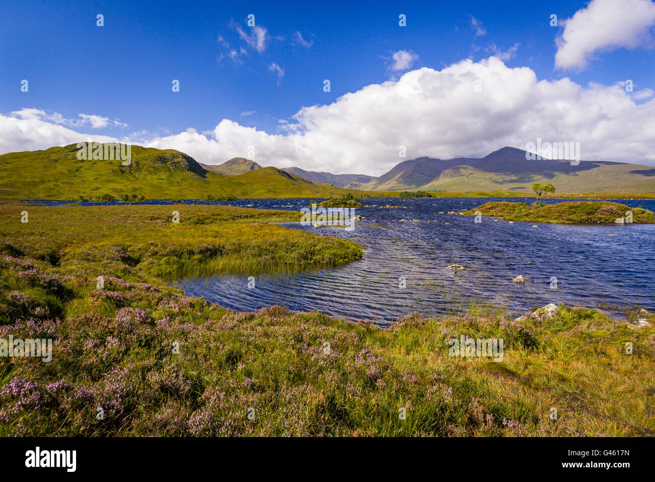 RANNOCH, Schottland - Landschaft Rannoch Moor, Sumpf und See. Stockfoto