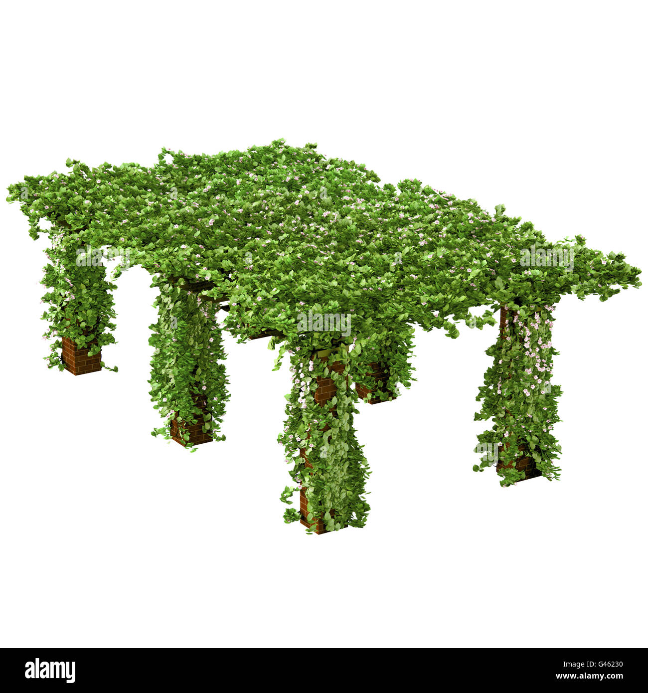Lange und groe Pergola mit Efeu Kletterpflanze Stockfotografie - Alamy