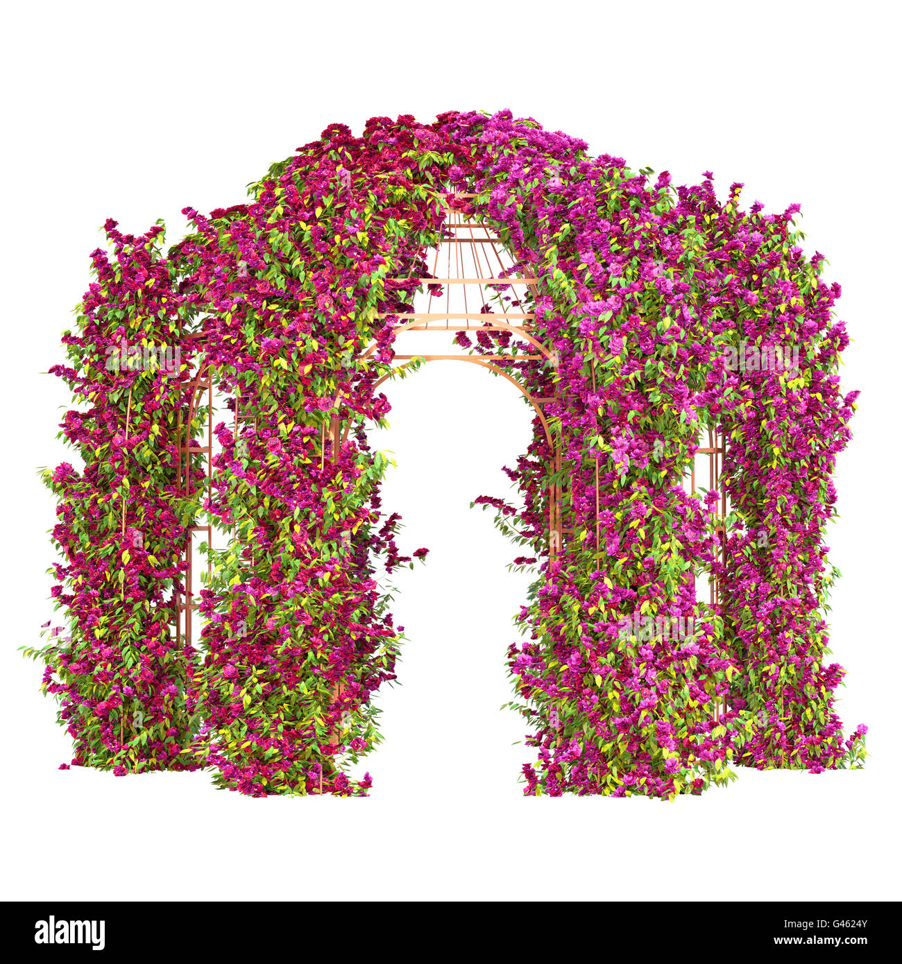 Lockige blühende Pflanze pergola Stockfoto