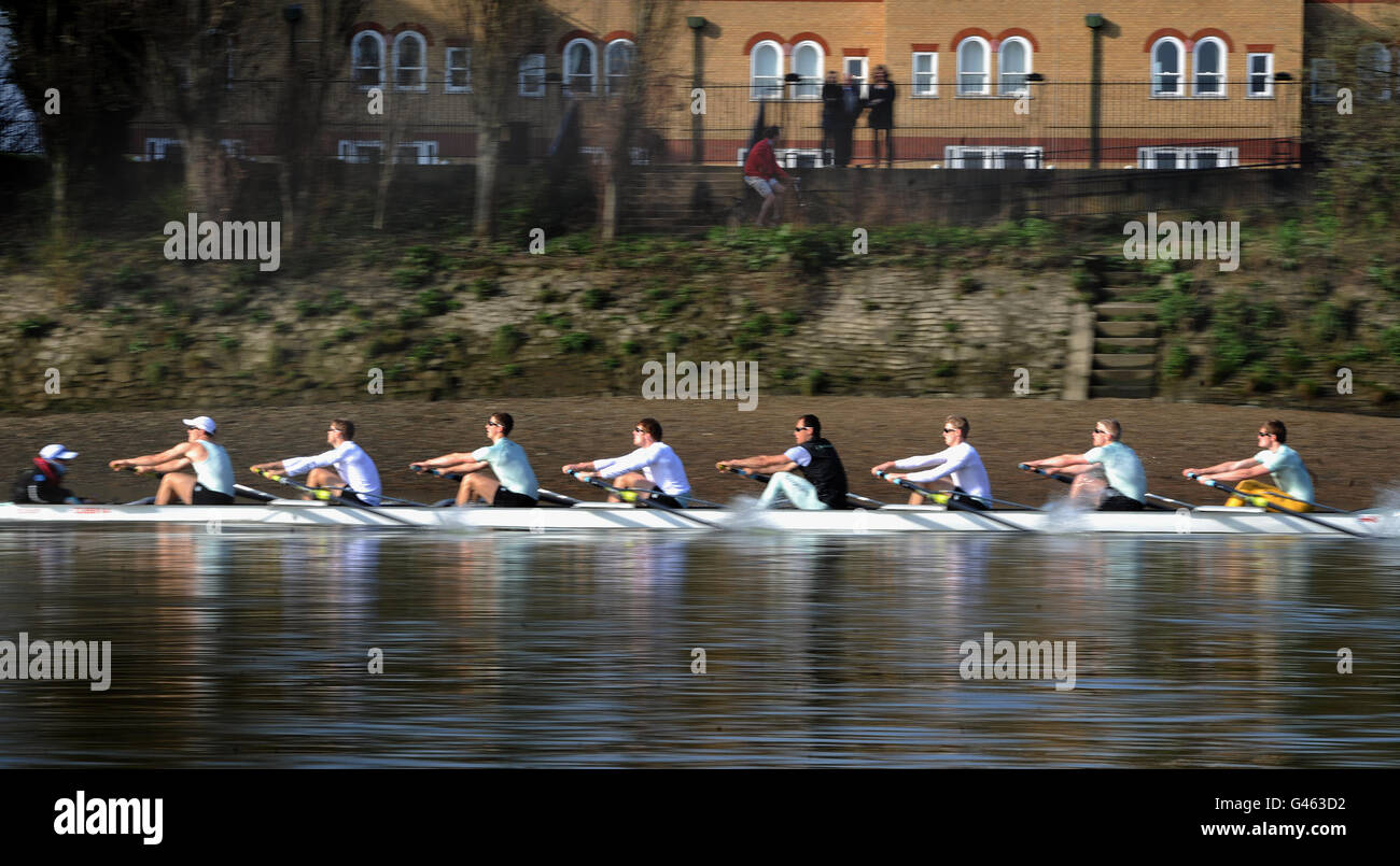 Das Cambridge Boat Race Team während einer Trainingseinheit auf der Themse in Putney, London. Stockfoto