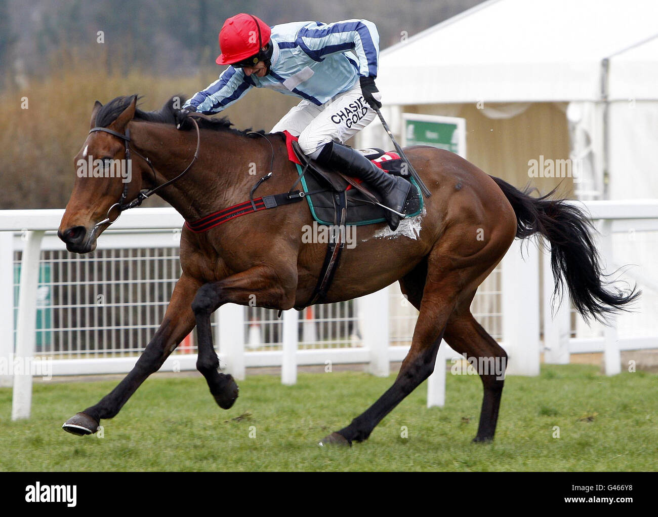 Swincombe Flame mit Daryl Jacob gewinnt beim Paddy Power Imperial Cup Day auf der Sandown Racecourse in Surrey das Standard Open NH Flat Race Finale von EBF/DBS Mares. Stockfoto