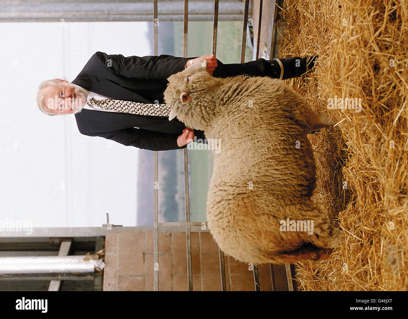 Dr. Ron James (links), Managing Director von PPL Therapeutics, am Roslin Institute, Edinburgh, mit Dolly, dem Schaf, dem weltweit ersten erwachsenen Tier, das durch nuklearen Transfer geklont wurde. * das Team des Instituts behauptet, dass der Durchbruch den Kampf um das Verständnis von Menschen- und Tierkrankheiten wie Mukoviszidose, Emphysem, BSE und CJK massiv ankurbeln wird. Stockfoto