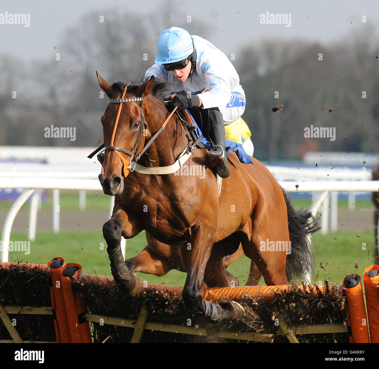 Der tag der dachdecker des nationalen verbandes Fotos und