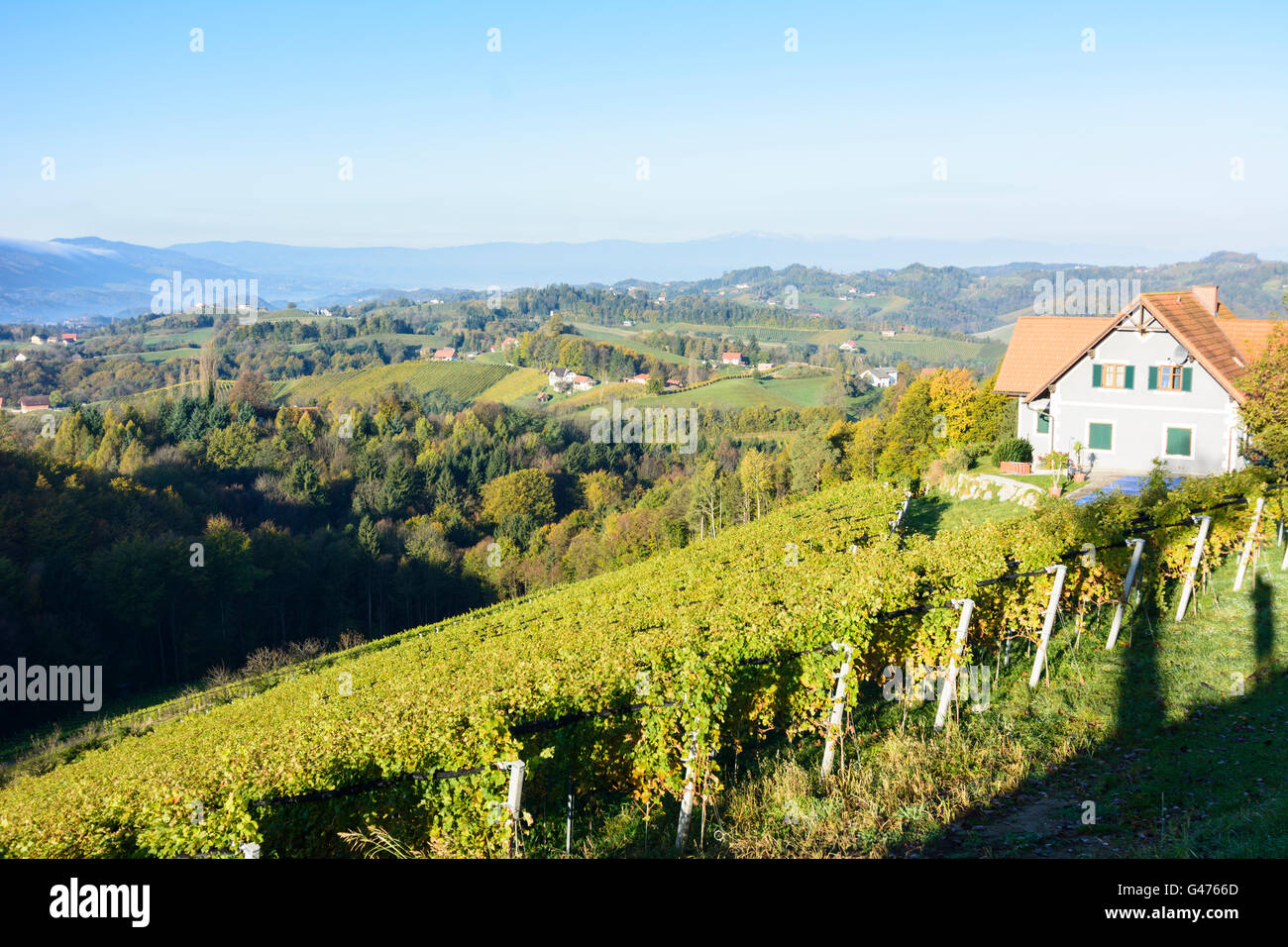 Weinberge, im Hintergrund der Koralpe - Süd steirischen Wein Straße, Österreich, Steiermark, Steiermark, Südwest-Steiermark, Gamlitz Stockfoto
