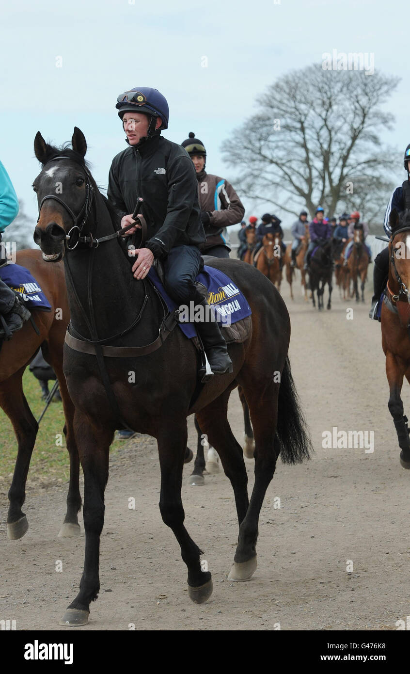 Horse Racing - Richard Fahey Pressetag - Musley Bank Ställe Stockfoto