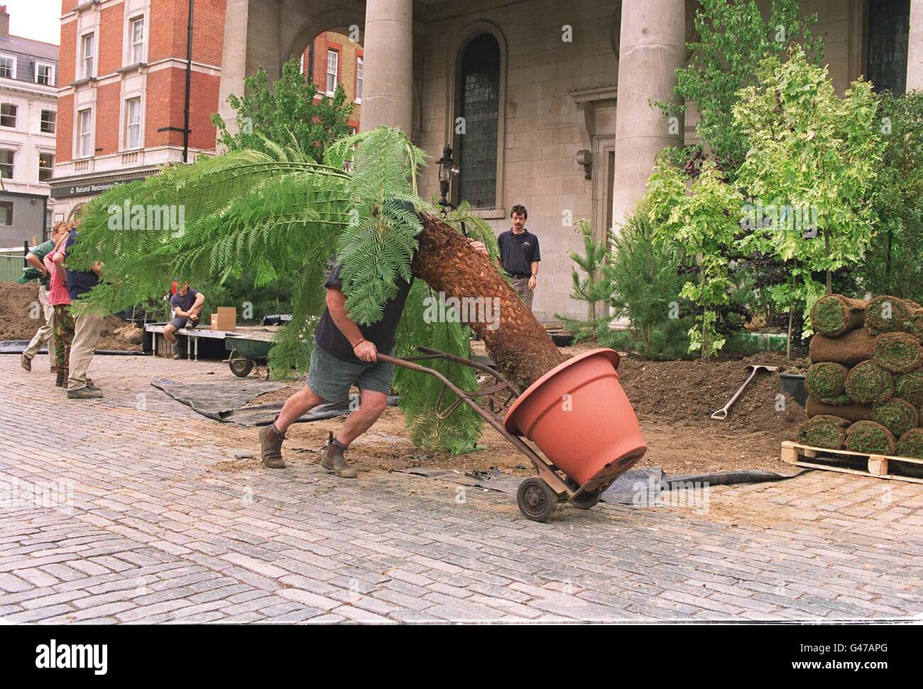 Ein Arbeiter zieht heute Morgen (Freitag) einen 65-jährigen Dicksonia Antarctica Baumfarn nach Covent Garden, im Zentrum von London, um die Vorbereitungen für das Covent Garden Flower Festival zu beginnen. Der Farn hat eine Ursprünge von 350 Millionen Jahren und ist heute nur noch in den kühlen alpinen Regionen Australiens in freier Wildbahn zu finden.das Blumenfest beginnt am 22. Juni und dauert bis zum 29. Juni. PA. Stockfoto