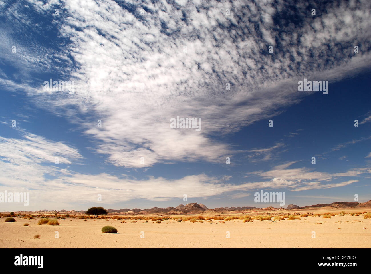 Dünne weiße Wolken Algerien Wüste Stockfoto