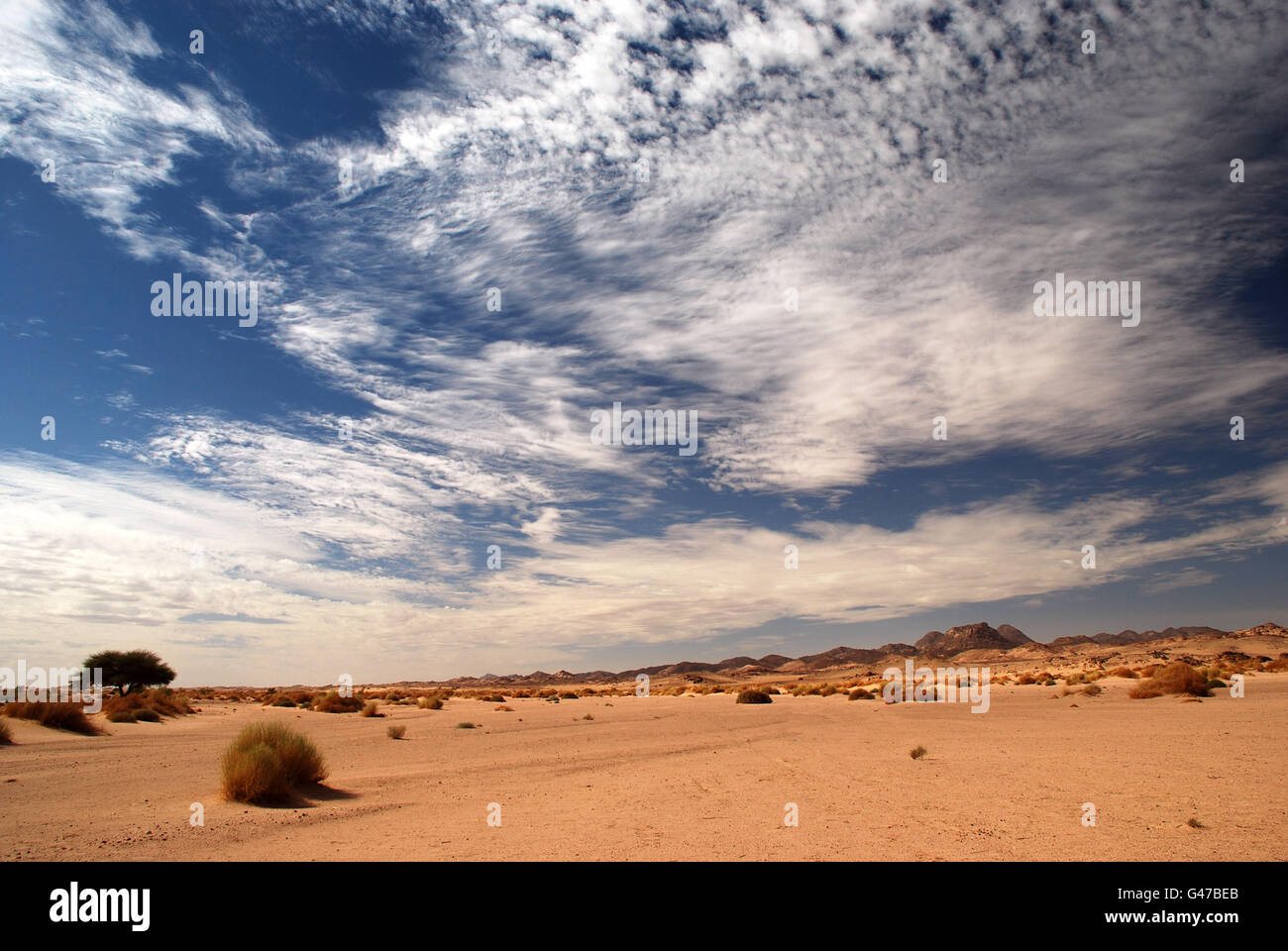 Panoramablick auf Algerien Wüste Stockfoto