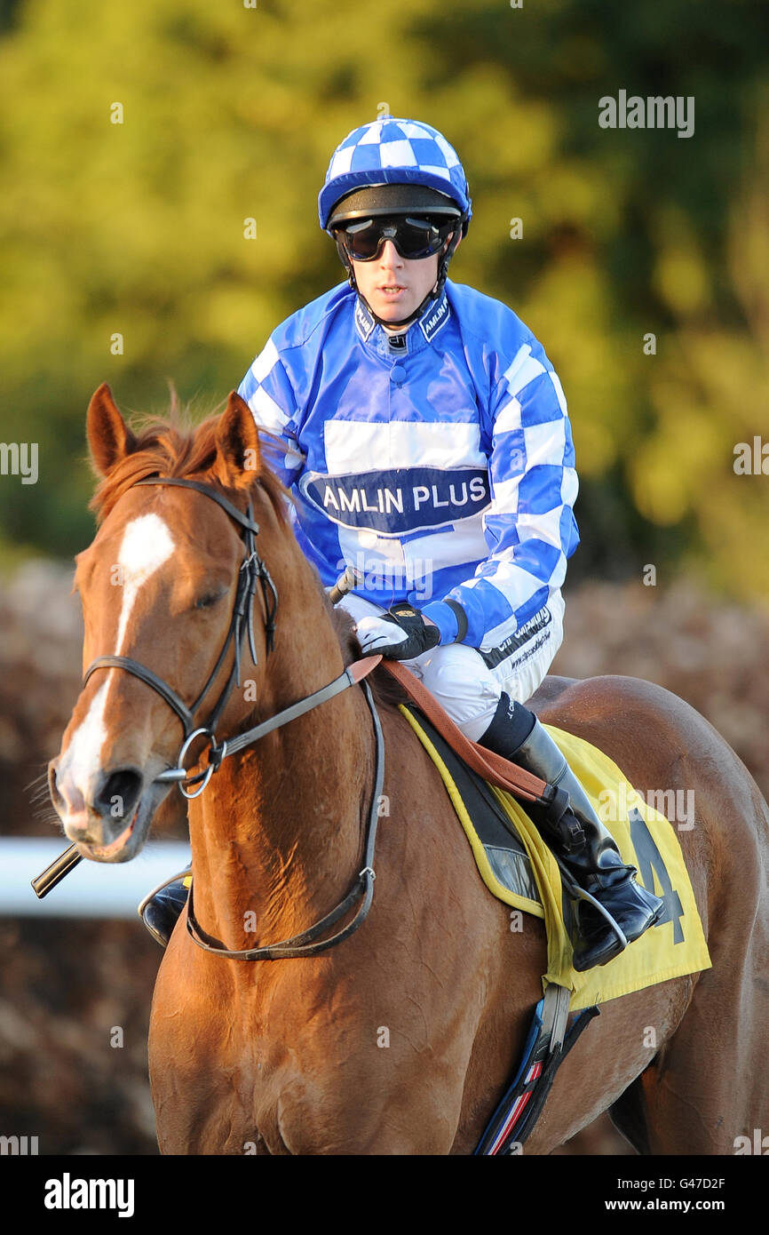 Seaside Sizzler von Jim Crowley nach dem Sponsor A geritten Rennen Im Kempton Park Handicap Stockfoto