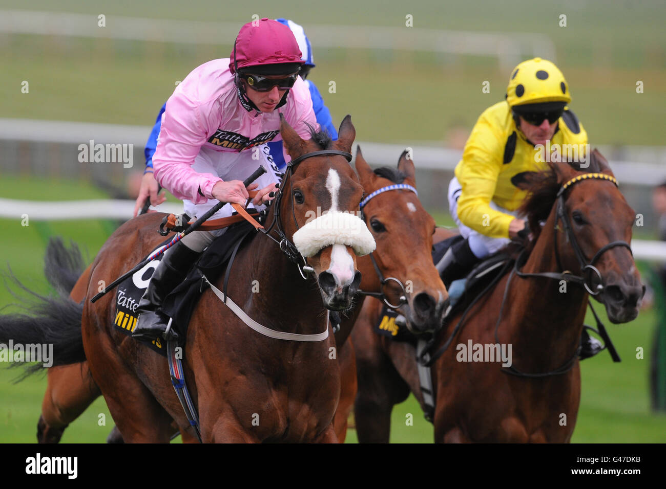 Pferderennen - The Craven Meeting - Erster Tag - Newmarket Racecourse. Sir Reginald unter Paul Hanagan (links) gewinnt den 150,000 Tattersalls Millions 3-Y-O Sprint Stockfoto