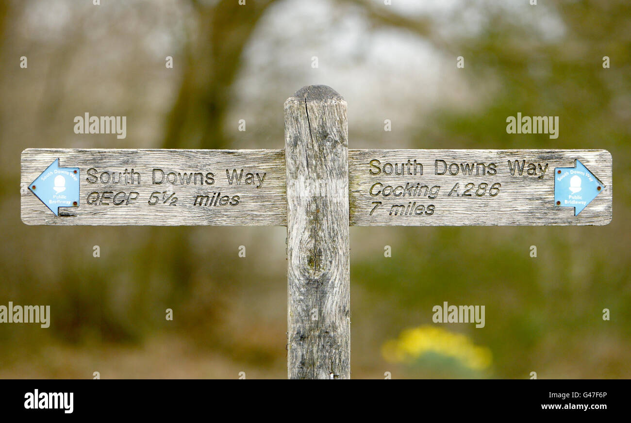 Wegweiser auf dem South Downs Way in Harting Down, West Sussex, der sich im neuen South Downs National Park befindet. Die South Downs National Park Authority (SDNPA) geht am 1. April in Betrieb, wenn sie ihre gesetzliche Verantwortung für die Leitung und Planung der Zukunft des neuesten britischen Nationalparks übernimmt. Stockfoto