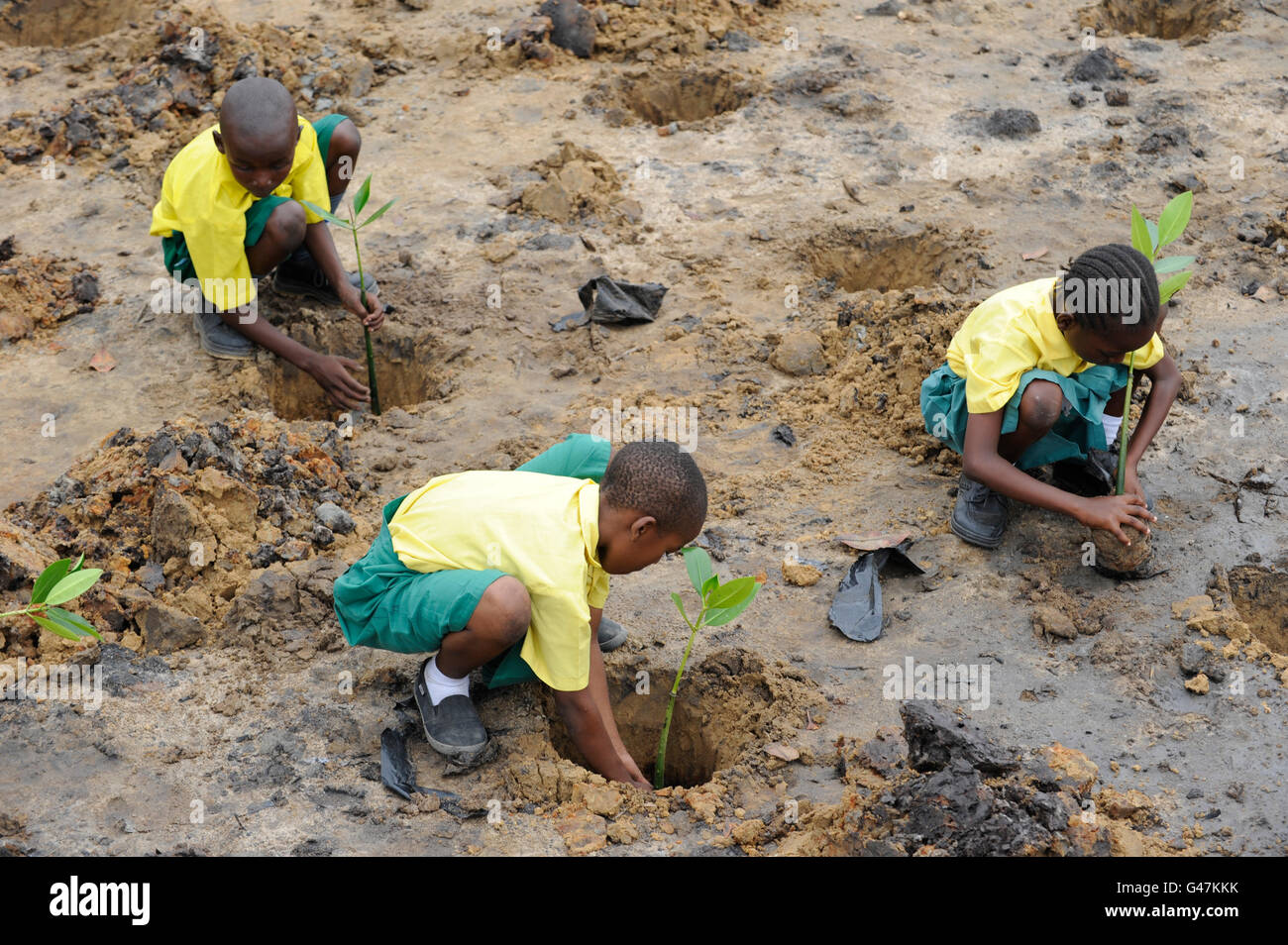 Kenia, Mombasa, Dorf Majaoni, Schule Kinder der Umgebung Youth Club Anlage mangrove Während trail Ausflug an der Küstenregion für Klima und Küste Schutz meer Erosion zu verhindern, ist die Erstellung einer Umweltbewusstsein Stockfoto