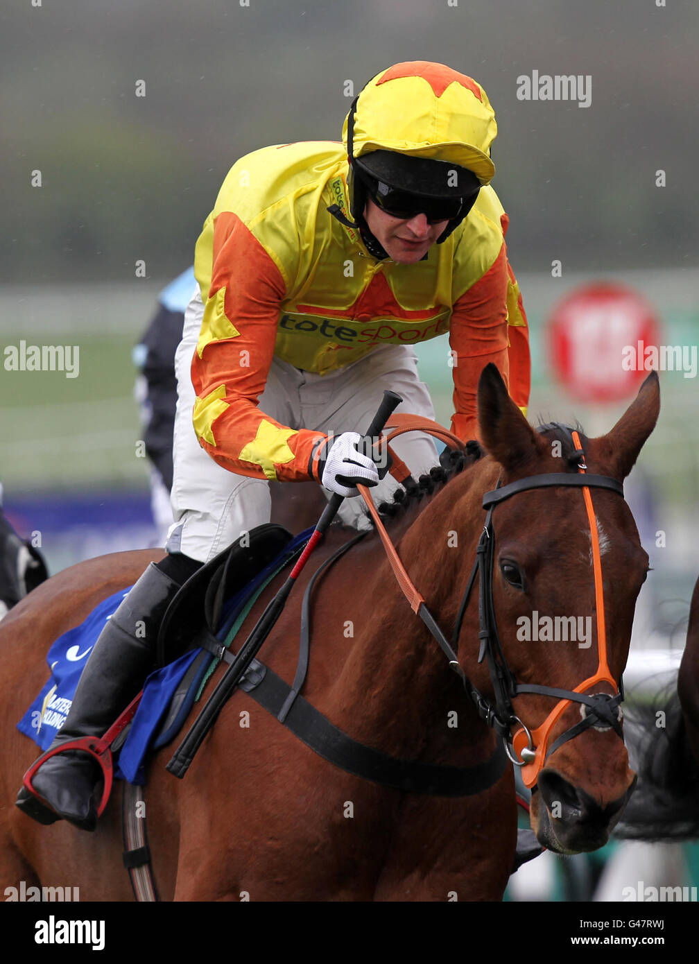 Horse Racing - der April-Tagung - Tag eins - Cheltenham Racecourse Stockfoto