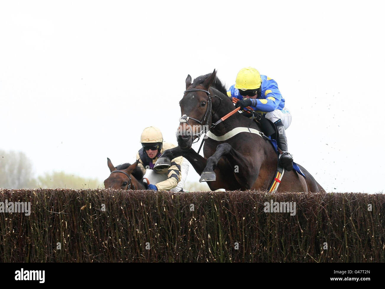 Watch My Back von Graham Lee geritten gewinnt den Hillhouse Quarry Handicap Steeple Chase während des ersten Tages des Coral Scottish Grand National Festivals auf der Ayr Racecourse. Stockfoto