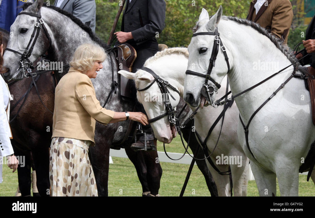 Die Herzogin von Cornwall bei einem Besuch im Lisbon Jockey Club, Portugal. Stockfoto