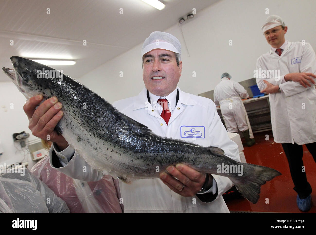 Schottisches Parlament Wahlkampf Stockfoto