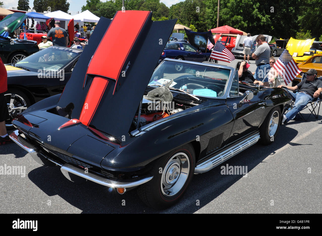 Ein Jahrgang 1967 Chevrolet Corvette 427 Motor. Stockfoto