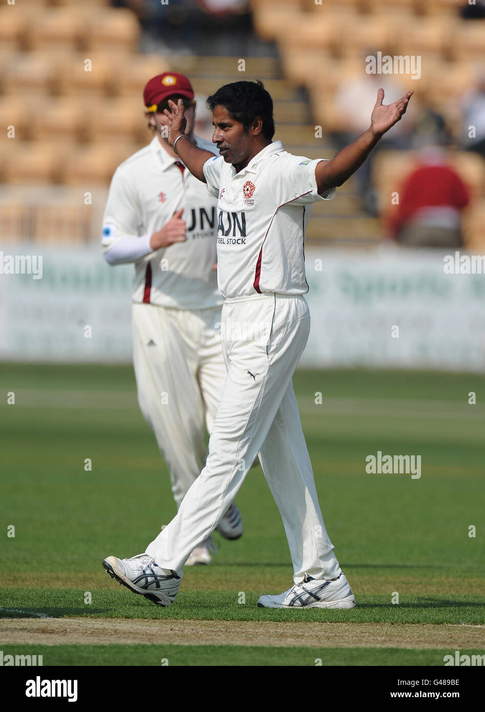 Cricket - Liverpool Victoria County Championship - Division Two - Tag 1 - Northamptonshire / Essex - County Ground. Chaminda Vaas von Northamptonshire feiert das Einsitzen von Billy Godleman von Essex Stockfoto