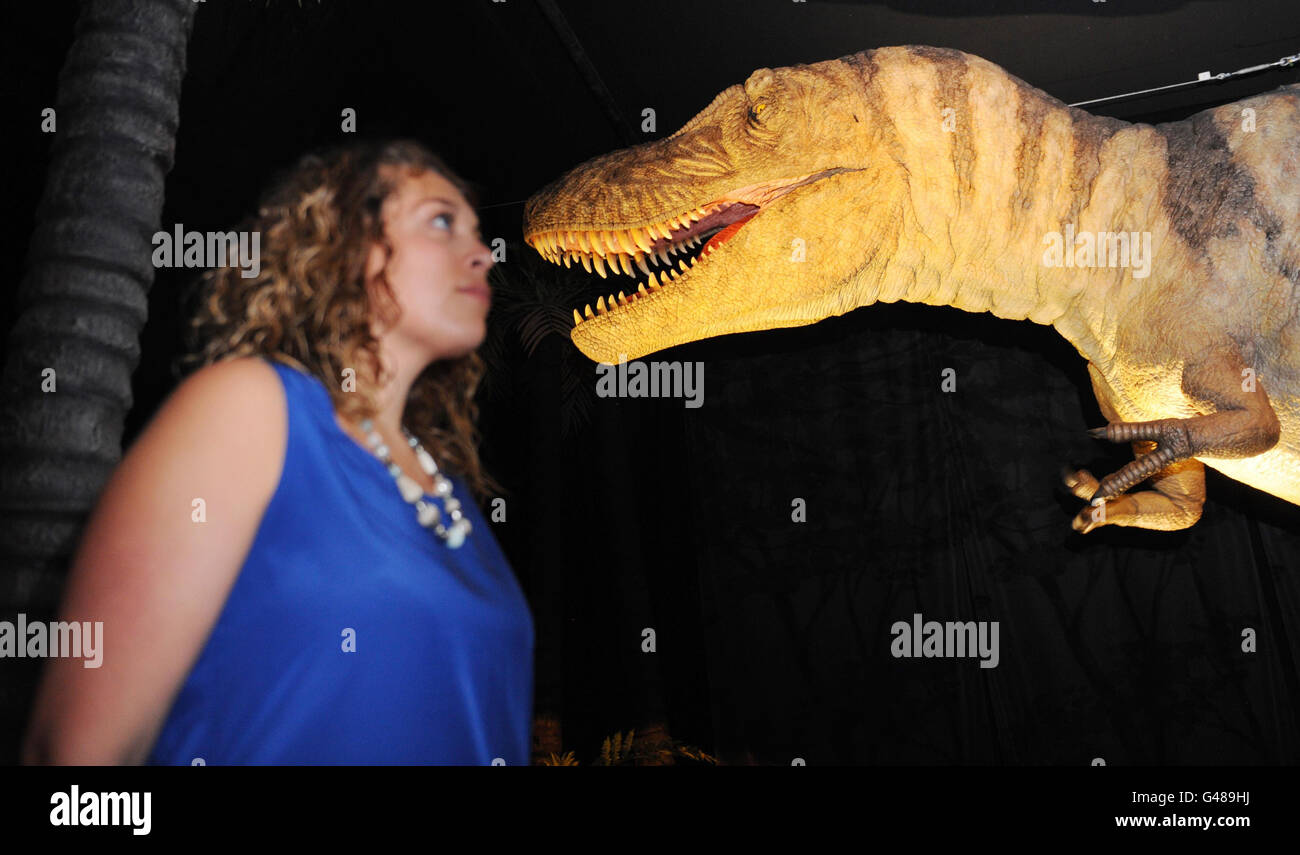 Jessica Hope vom National History Museum blickt heute im Rahmen ihrer neuen Ausstellung „Age of the Dinosaur“ auf ein animiertes Dinosaurier-Modell des Tarkosaurus im National History Museum in London. Stockfoto