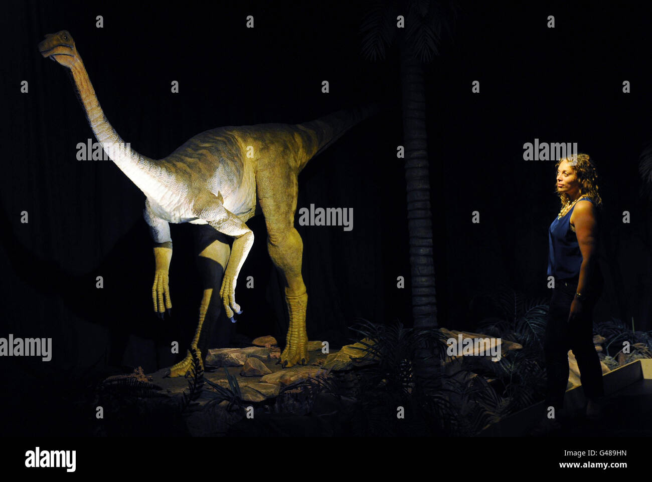 Dinosaurier-Ausstellung Stockfoto