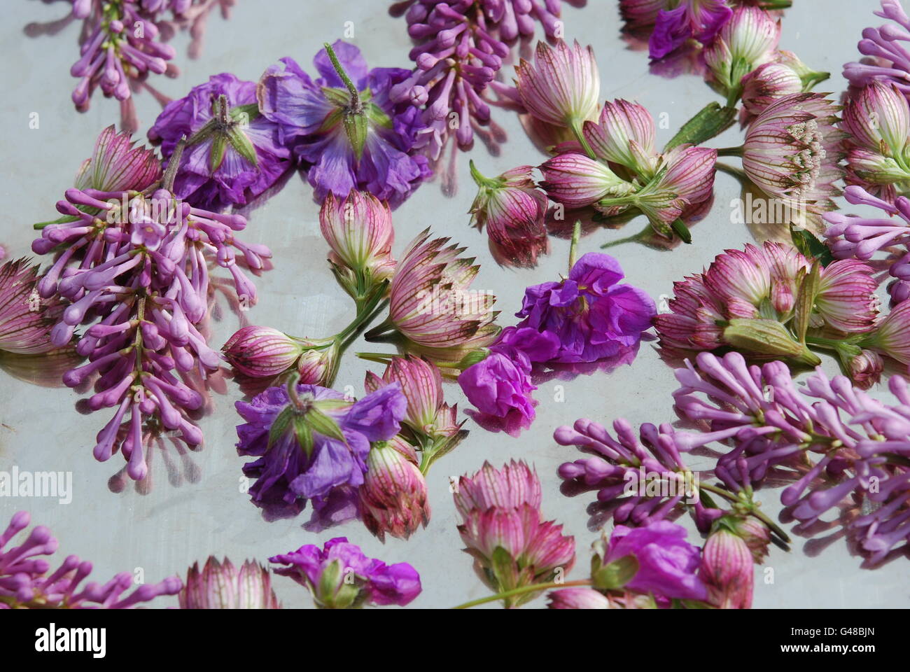 Bett aus verstreuten Blumen Stockfoto