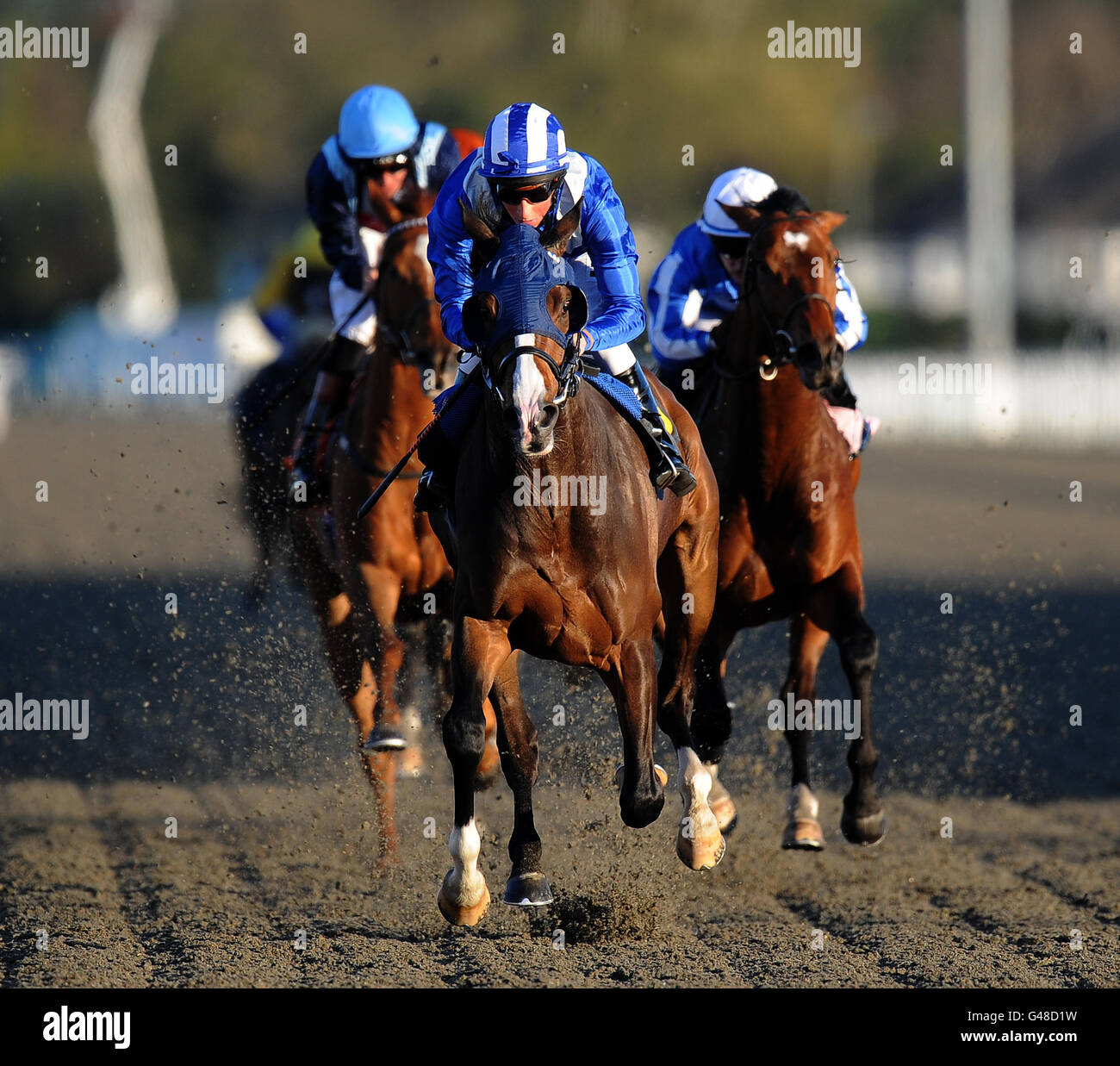 Pferderennen - Kempton Park Rennbahn Stockfoto