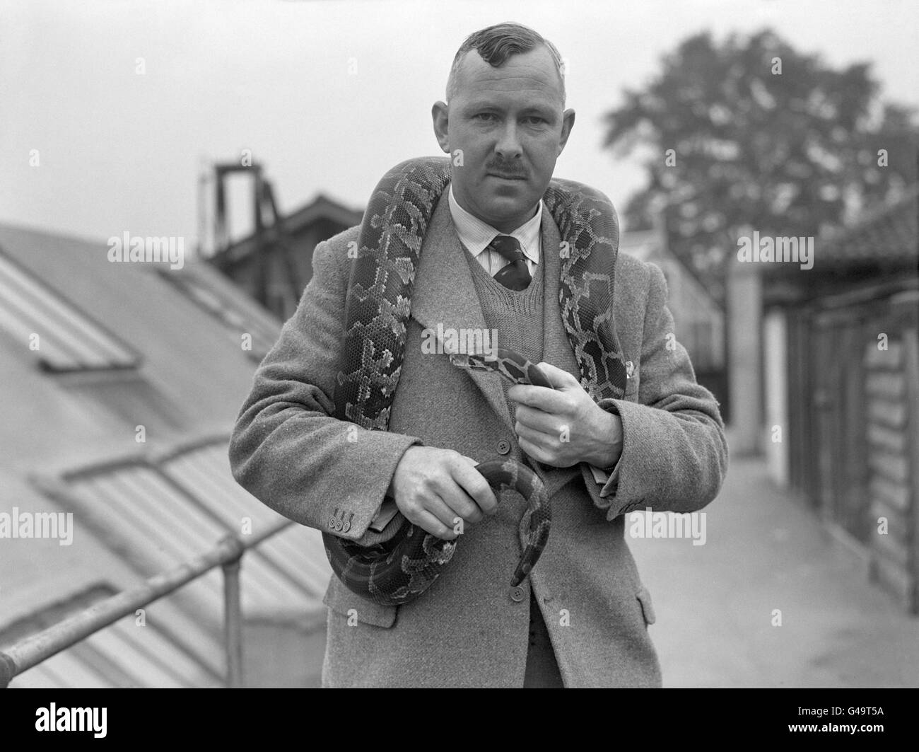 George S. Cansdale, bald Superintendent des Londoner Zoos, steht mit einem indischen Python um seine Schultern Stockfoto