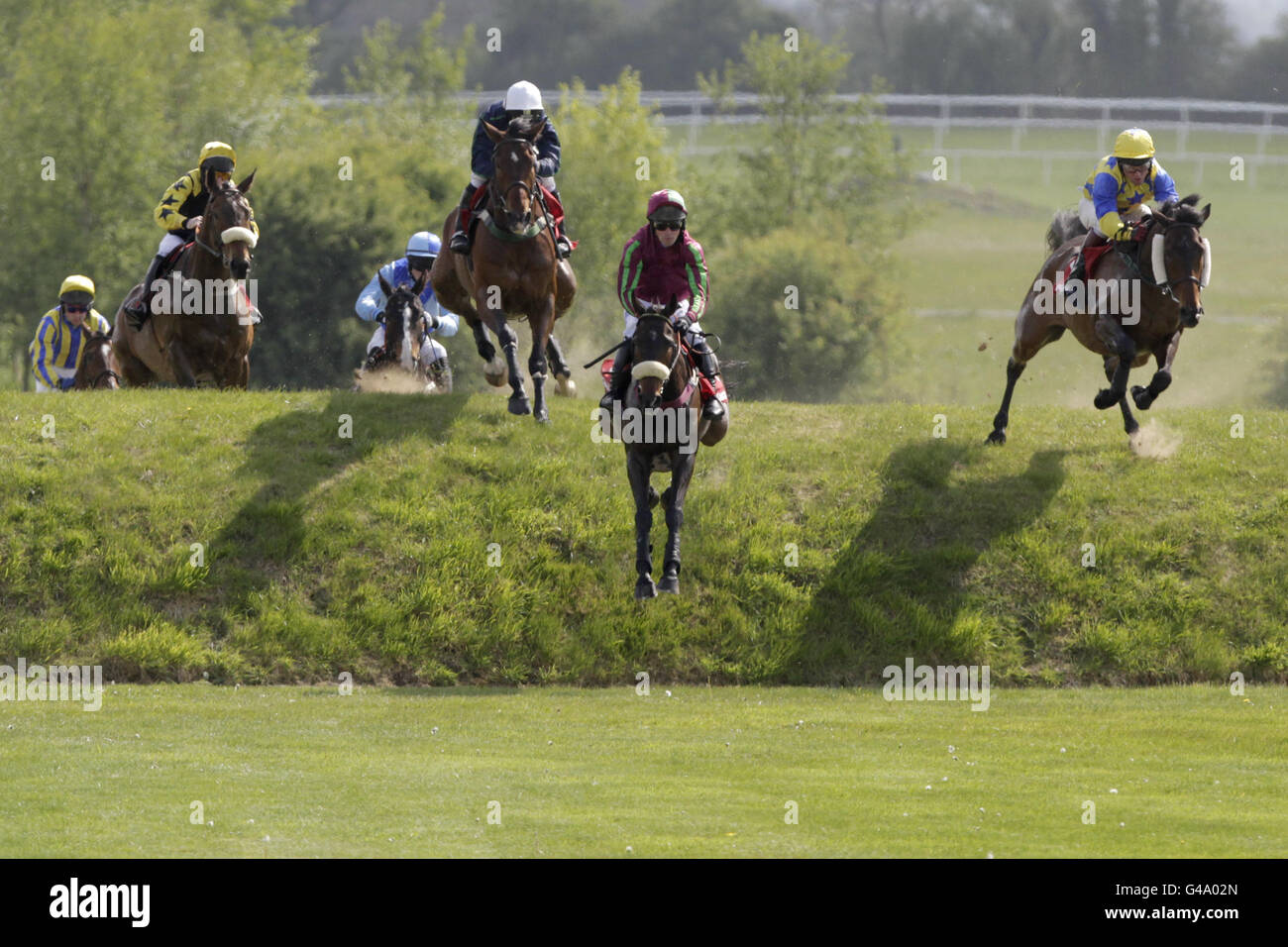 Pferderennen - 2011 Punchestown Festival - Boylesports.com Champion Chase Day. Läufer und Reiter während des Kildare Hunt Club Fr Sean Breen Memorial Chase für den Ladies Perpetual Cup Stockfoto