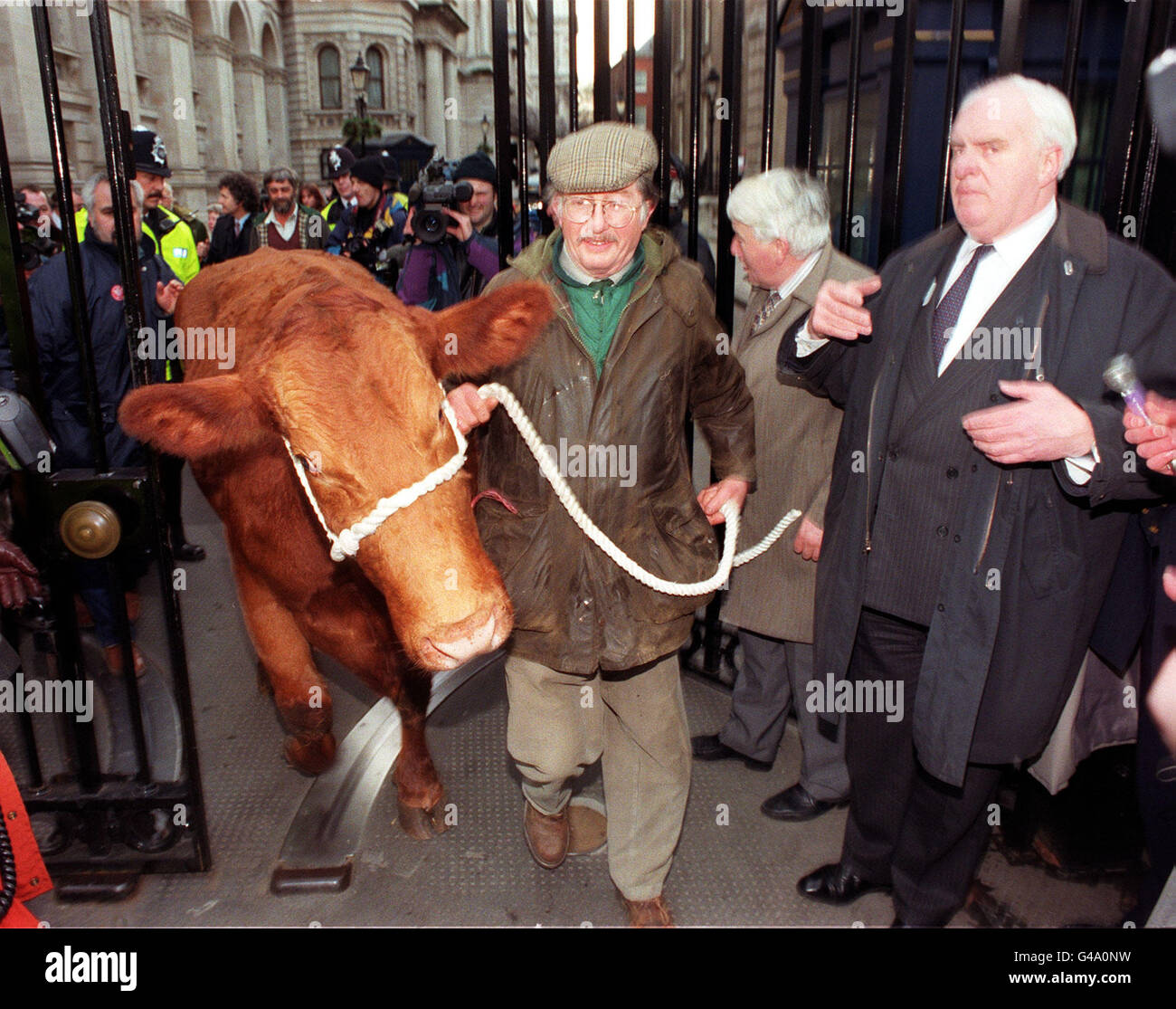 NFU-Präsident Sir David Naish (rechts) tritt zurück, als Farmer Chris Smallwood aus Devon heute (Dienstag) die Kuh Mayflower aus den Toren der Downing Street führt. Mehr als 3,400 Landwirte aus allen Ecken Großbritanniens kamen heute nach London, um mehr Unterstützung für ihre Industrie zu fordern. Foto von Ben Curtis/PA. Siehe PA Geschichte FAMING Rally Stockfoto