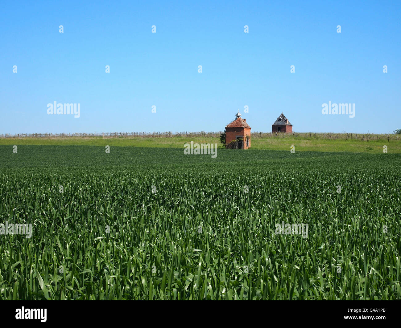 Taubenhäuser, Limagne, Region Maringues, Auvergne, Frankreich, Europa Stockfoto