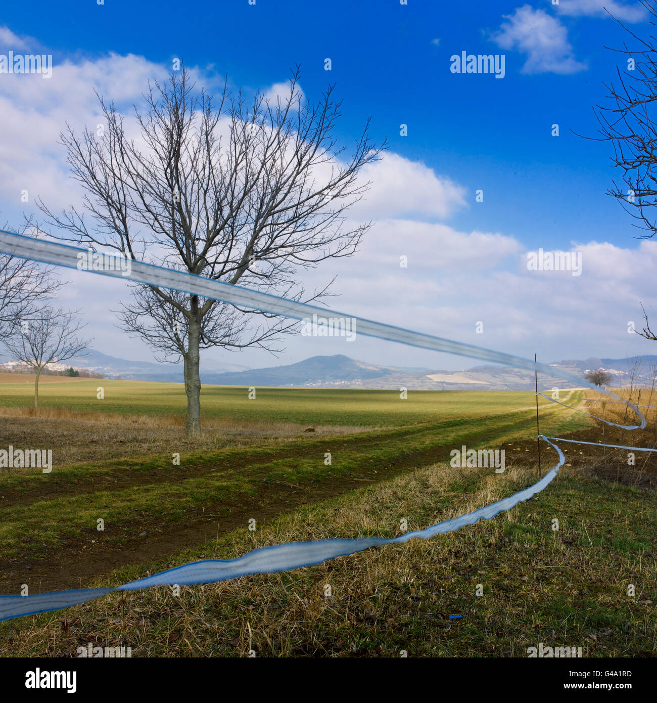 Kleben Sie flattern im Wind, Limagne Landschaft, Auvergne, Frankreich Stockfoto