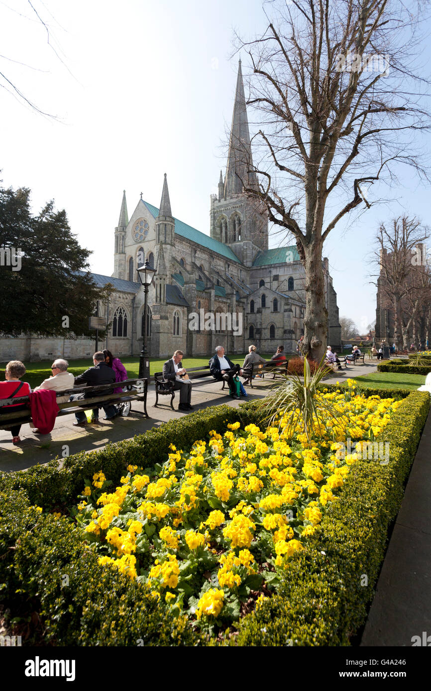 Menschen genießen die Frühlingssonne und Narzissen vor Chichester Cathedral, Chichester, West Sussex, England Stockfoto