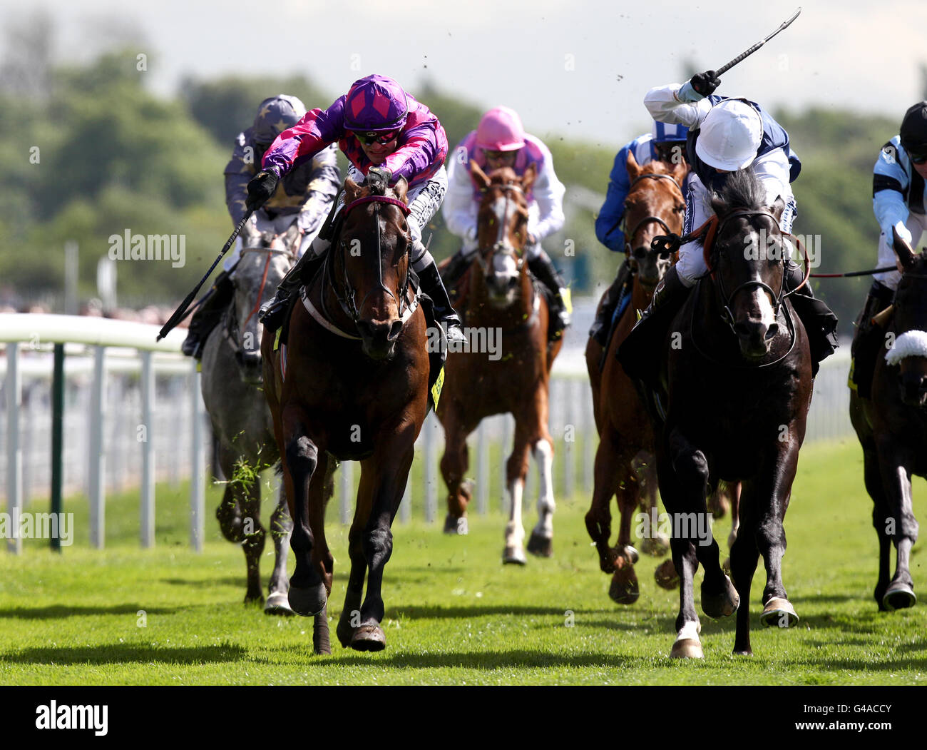 Pferderennen - 2011 Dante Festival - totesport Dante Stakes Day - York Racecourse. St. Moritz (ganz links) wird von Adrian Nicholls geritten und gewinnt den totesport 0800 221 221 Hambleton Stakes Stockfoto