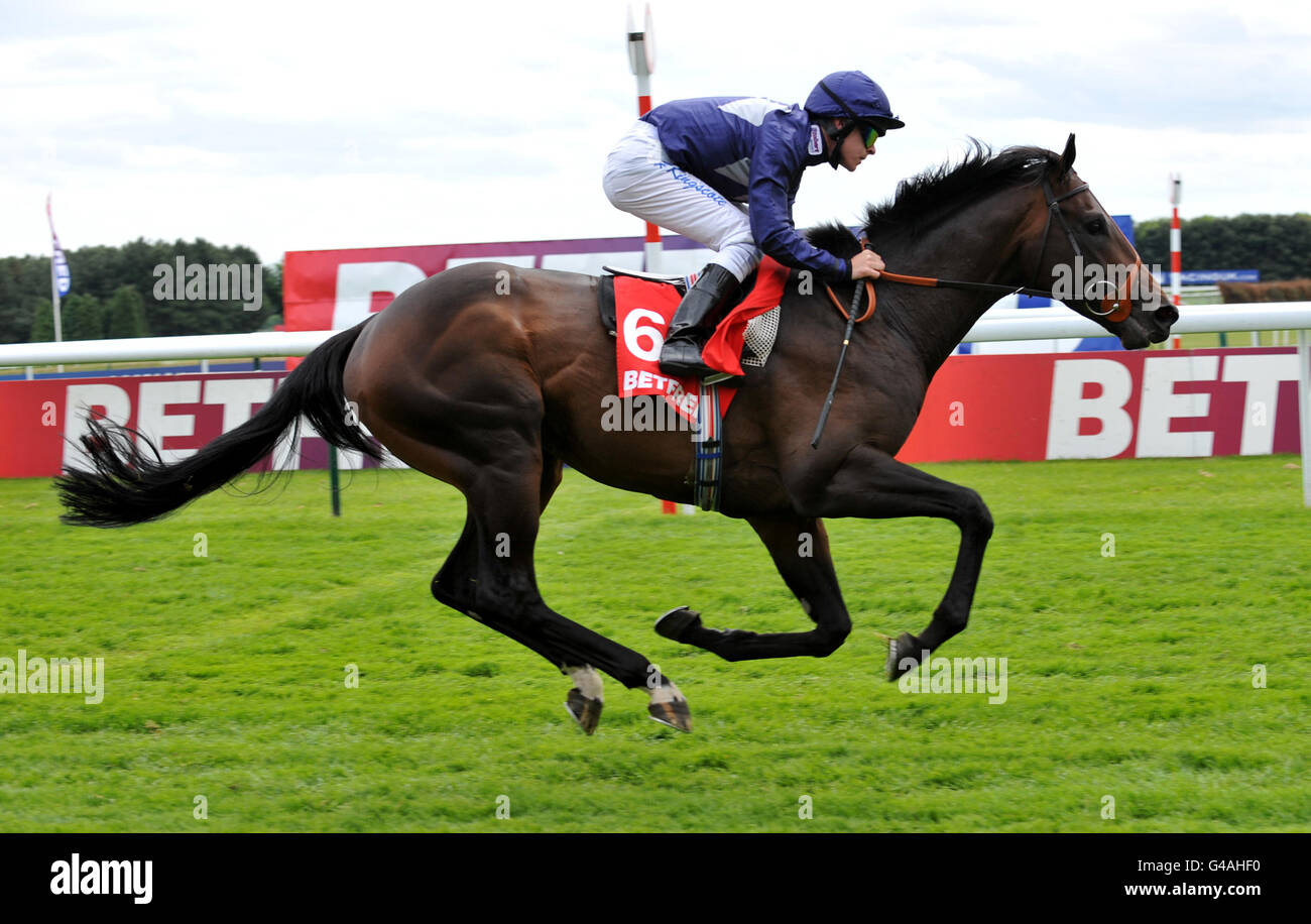 Brown Panther von Richard Kingscote gewinnt das Betfred „beide Teams erzielen... Tore in Überzahl!“ Handicap Stockfoto