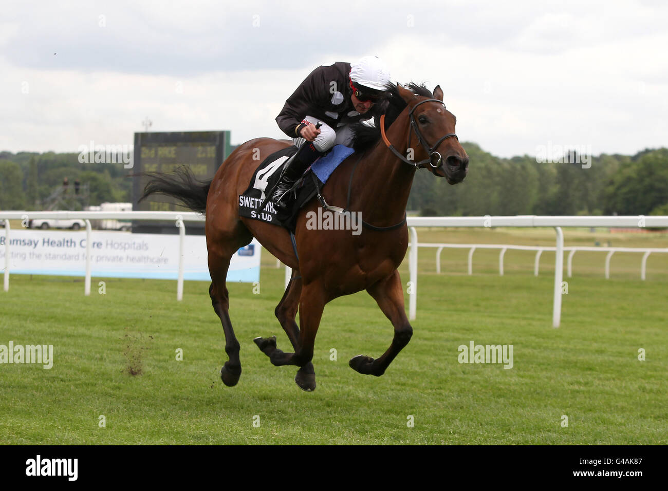 Horse Racing - Bereich Charity Race Day - Newbury Racecourse Stockfoto