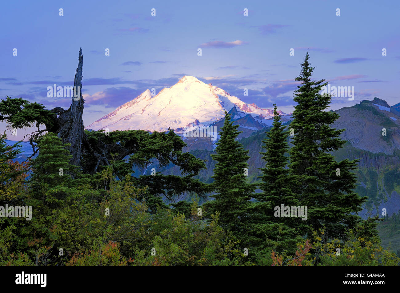 Mount Baker Wildnis, Washington, USA Stockfoto