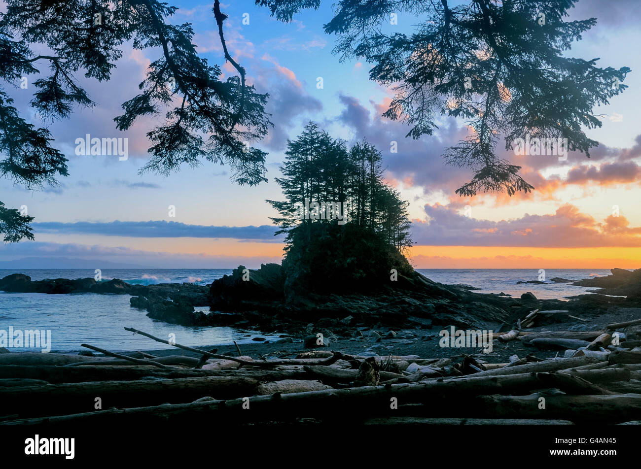 Botany Bay, Botanical Beach, Juan de Fuca Provincial Park, Vancouver Island, British Columbia, Kanada Stockfoto