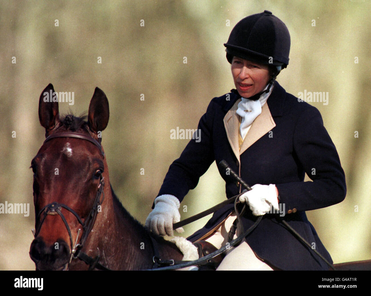 Prinzessin Royal jagt heute (Montag) mit den Jagdhunden des Duke of Beaufort in der Nähe von Tetbury, Gloucestershire. Foto Barry Batchelor/PA Stockfoto