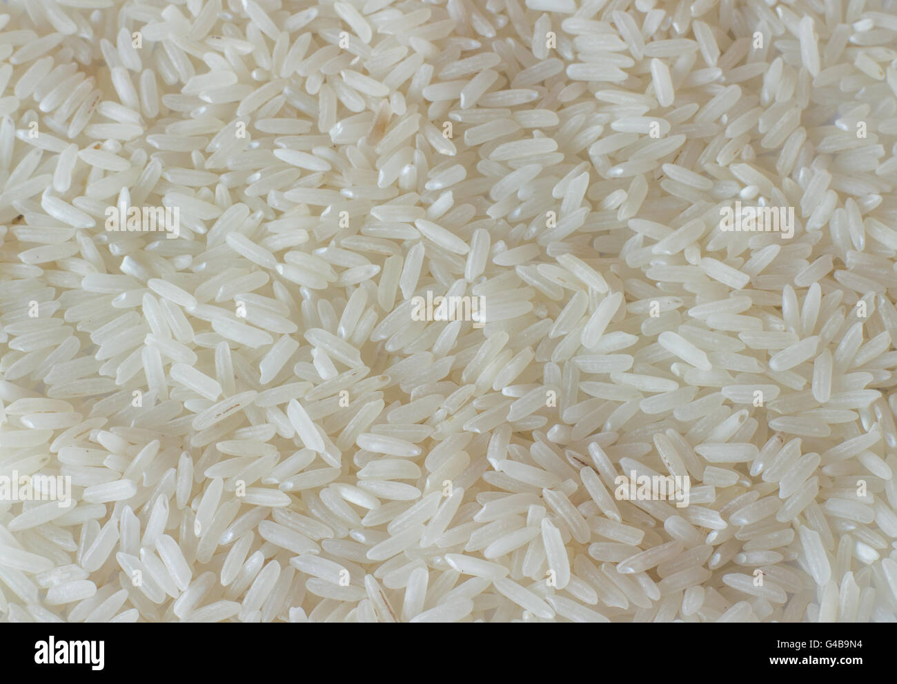 Weiße lange Reis Hintergrund, ungekocht rohes Getreide, roher Reiskorn Stockfoto