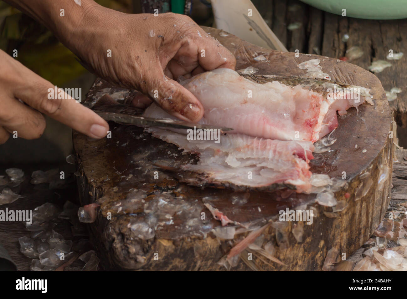 Hände, schneiden einen frischen Fisch auf ein Schneidebrett Stockfoto