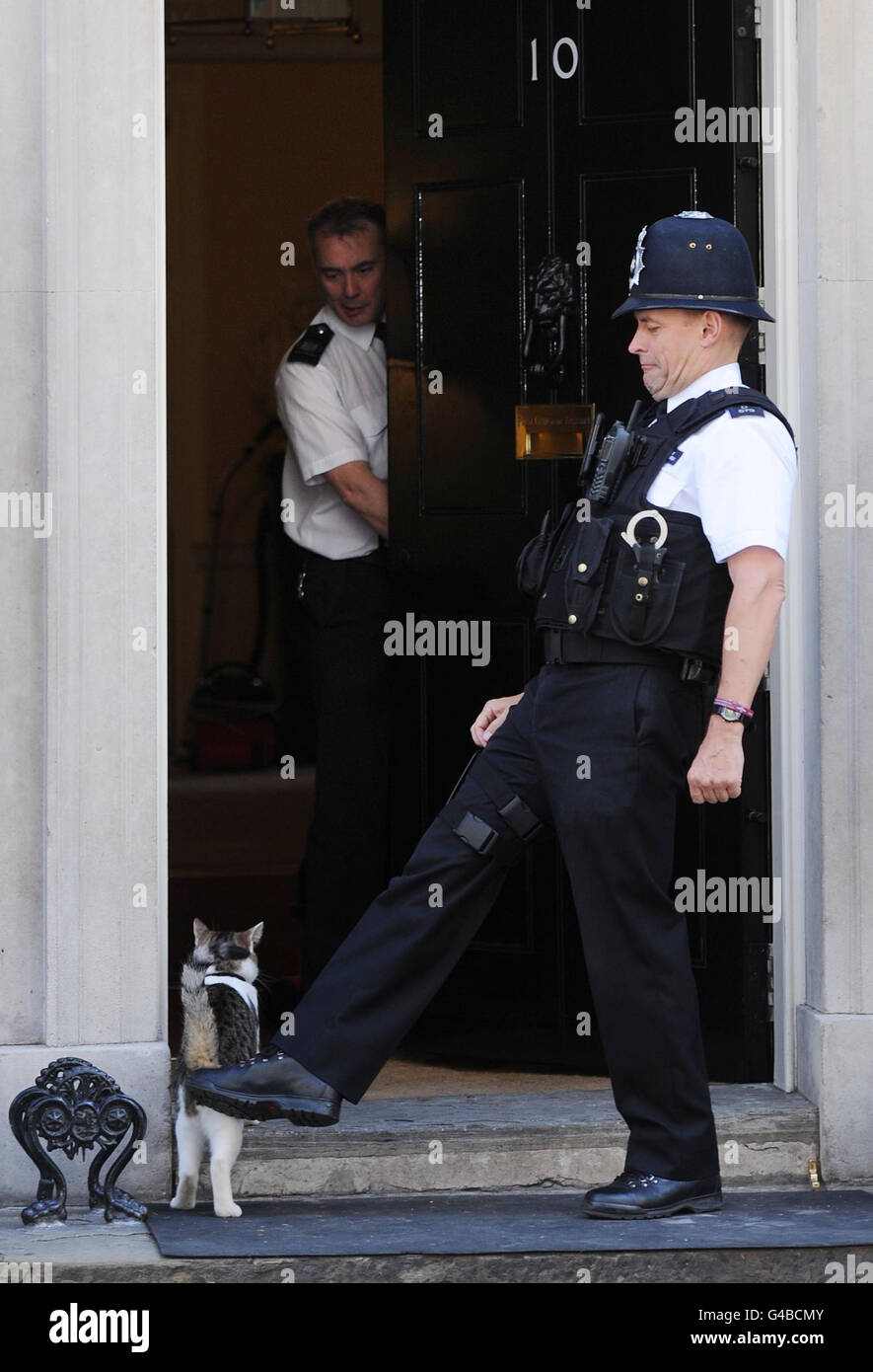Larry, die Downing Street Katze. Ein Polizist hilft Larry, der Downing Street Katze, in die Nummer 10. Stockfoto