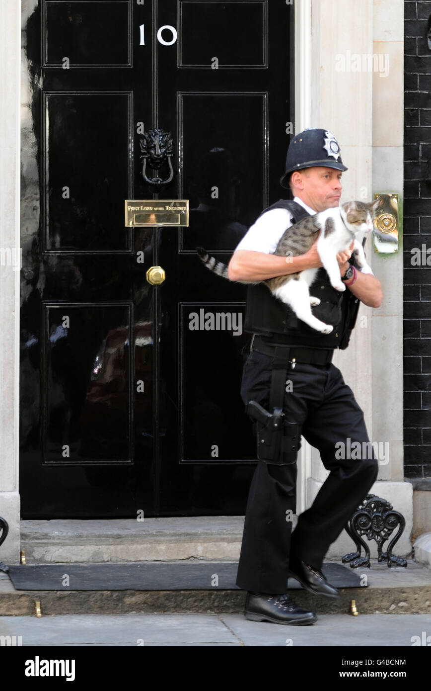 Ein Polizist hilft Larry, der Downing Street Katze, in die Nummer 10. Stockfoto