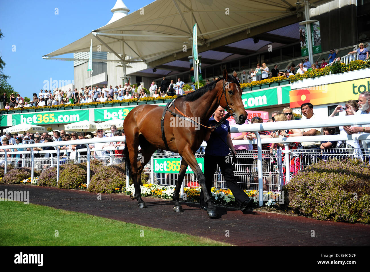 Horse Racing - bet365 Gold Cup Easter Festival - Sandown Park Stockfoto